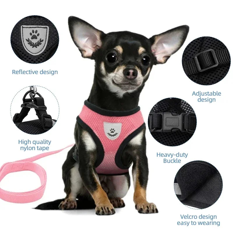 PawsFit - Adjustable Mesh Cat & Dog Harness with Lead