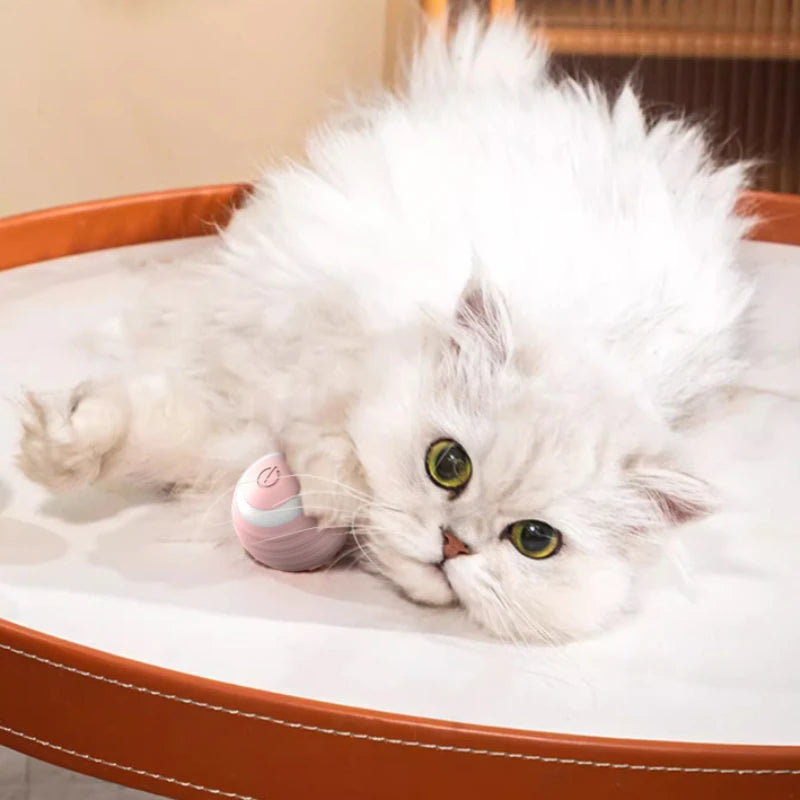 PurrRoll - Interactive Self-Moving Electric Cat Ball Toy