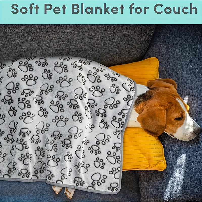 PawPal Cozy Blanket