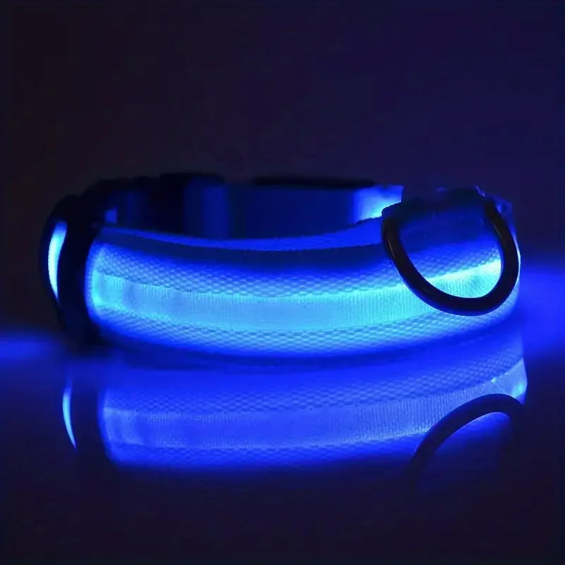 GlowSafe - Nylon LED Night Safety Flashing Dog Leash & Collar Set.