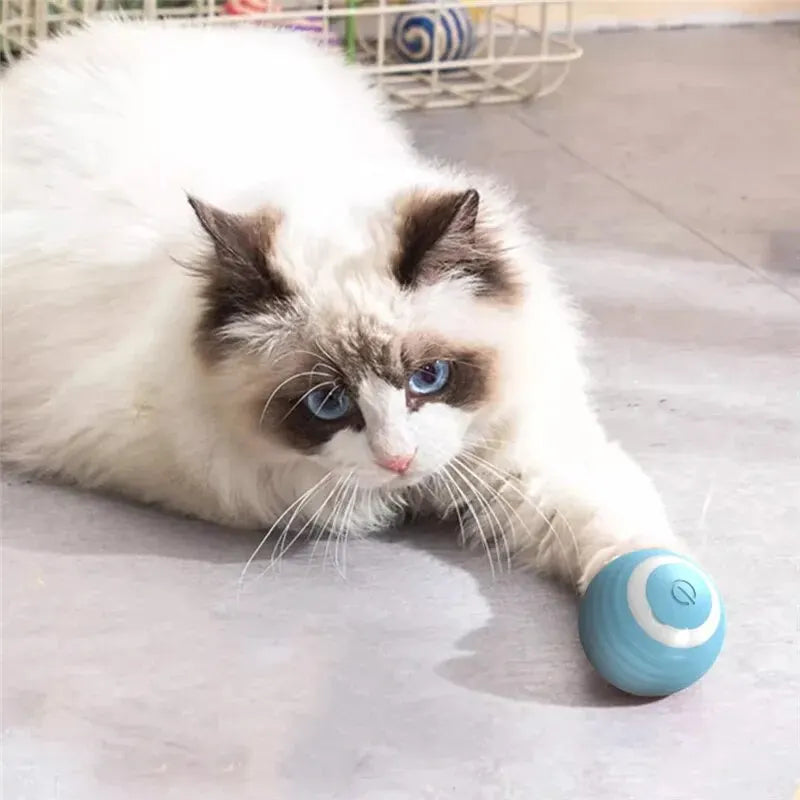 PurrRoll - Interactive Self-Moving Electric Cat Ball Toy