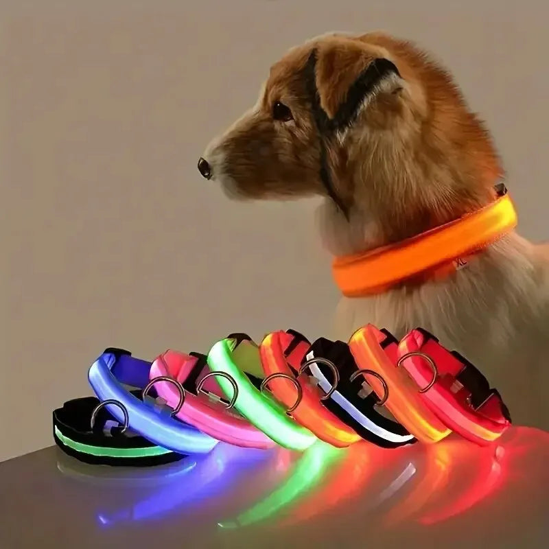 GlowSafe - Nylon LED Night Safety Flashing Dog Leash & Collar Set.