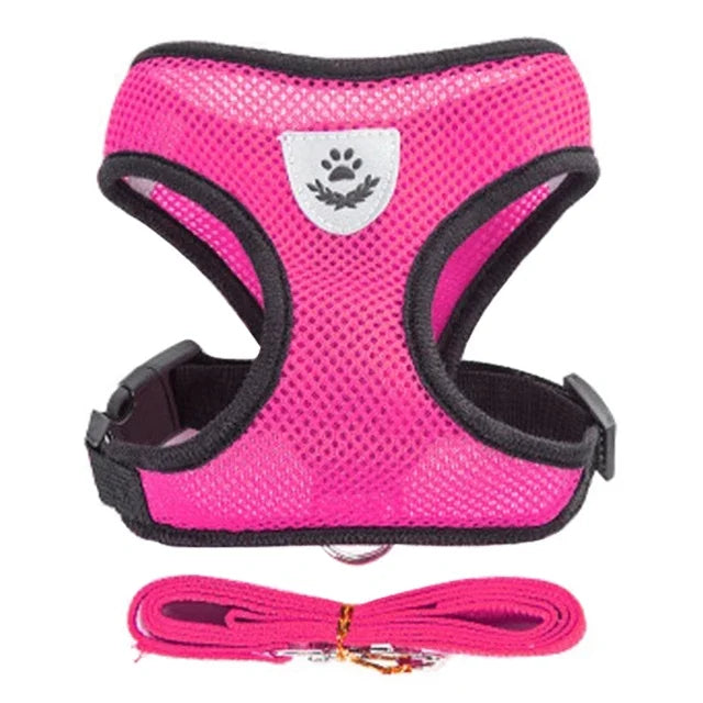 PawsFit - Adjustable Mesh Cat & Dog Harness with Lead