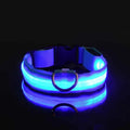 GlowSafe - Nylon LED Night Safety Flashing Dog Leash & Collar Set.