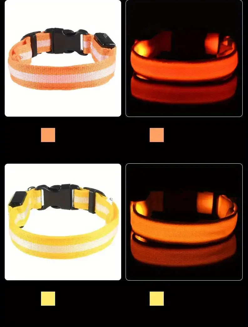 GlowSafe - Nylon LED Night Safety Flashing Dog Leash & Collar Set.