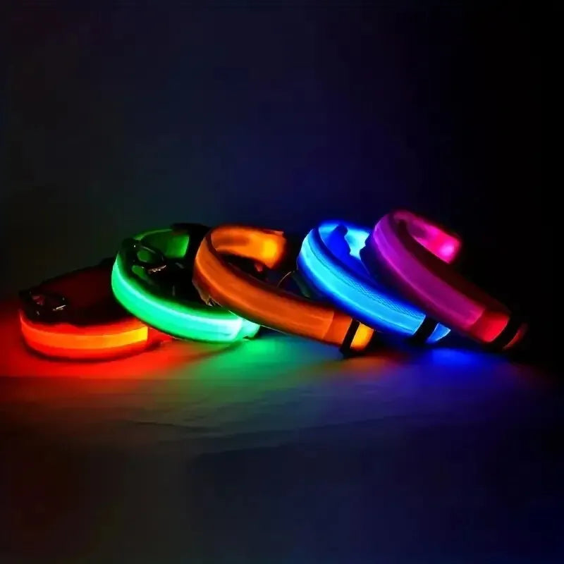 GlowSafe - Nylon LED Night Safety Flashing Dog Leash & Collar Set.