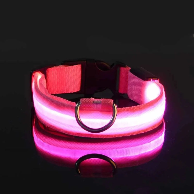 GlowSafe - Nylon LED Night Safety Flashing Dog Leash & Collar Set.