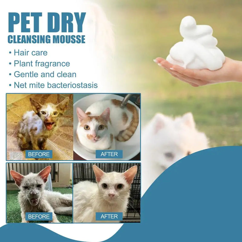 Waterless Cat Shampoo No Rinse