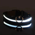 GlowSafe - Nylon LED Night Safety Flashing Dog Leash & Collar Set.