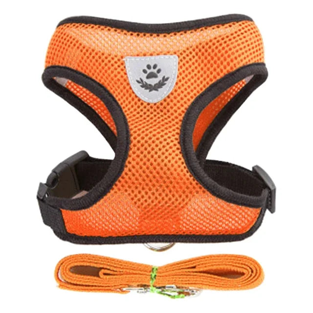 PawsFit - Adjustable Mesh Cat & Dog Harness with Lead