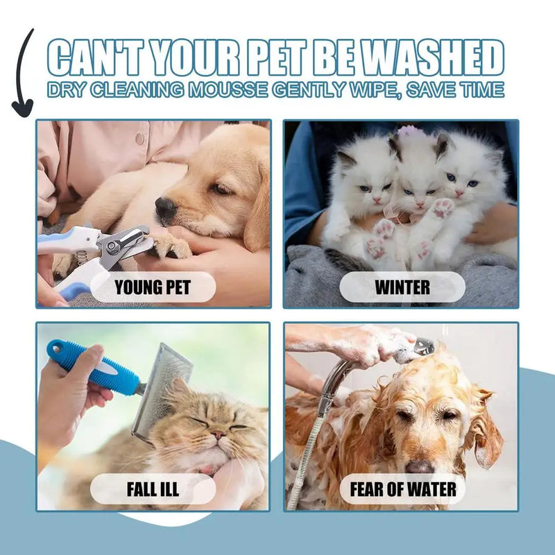 Waterless Cat Shampoo No Rinse