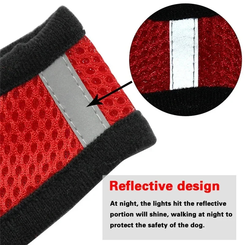 PawsFit - Adjustable Mesh Cat & Dog Harness with Lead