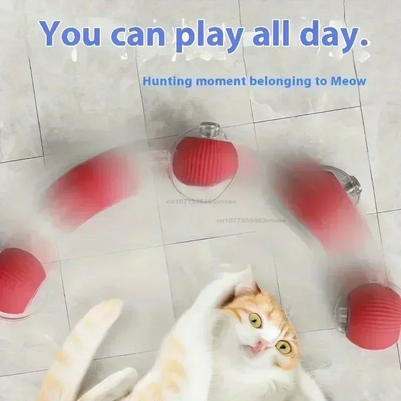 Interactive Pet World