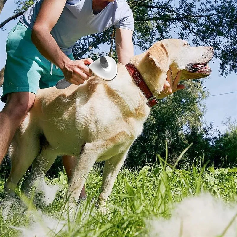 FurFresh Self-Cleaning Comb