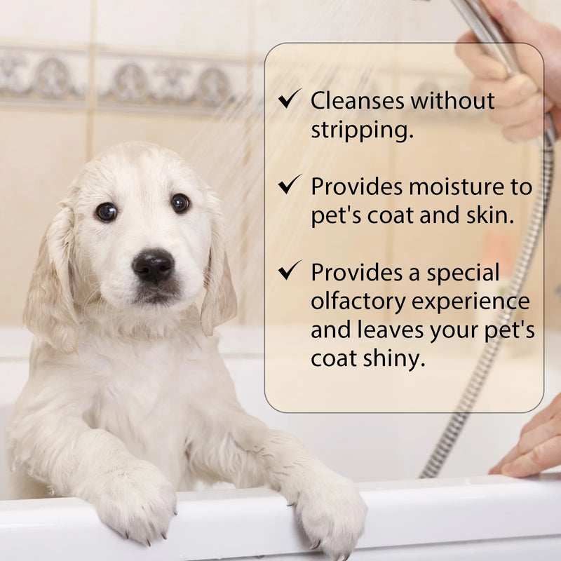 Pet Shampoo Dog Shampoo and Coat Wash