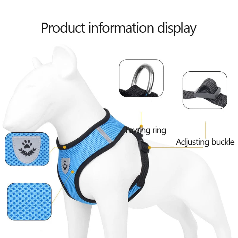 Cat Harness Vest and Leash Set