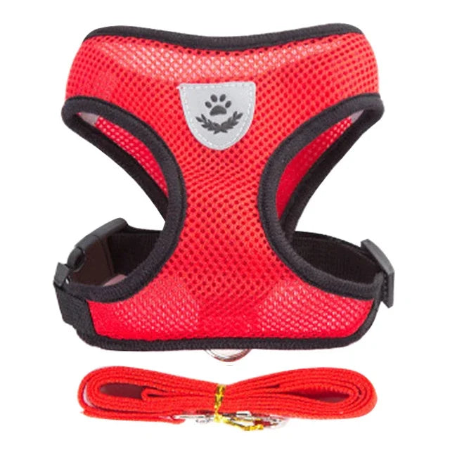 PawsFit - Adjustable Mesh Cat & Dog Harness with Lead