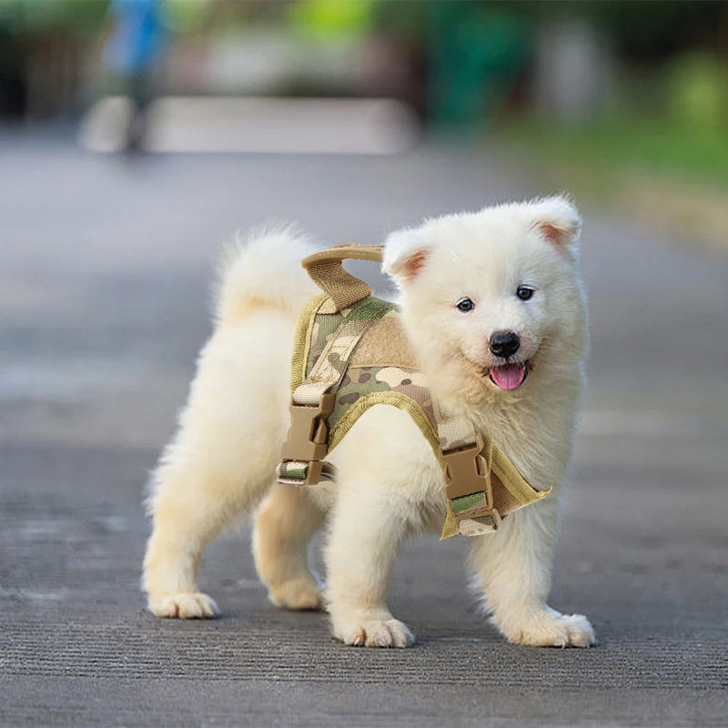 Tactical Puppy Harness Leash