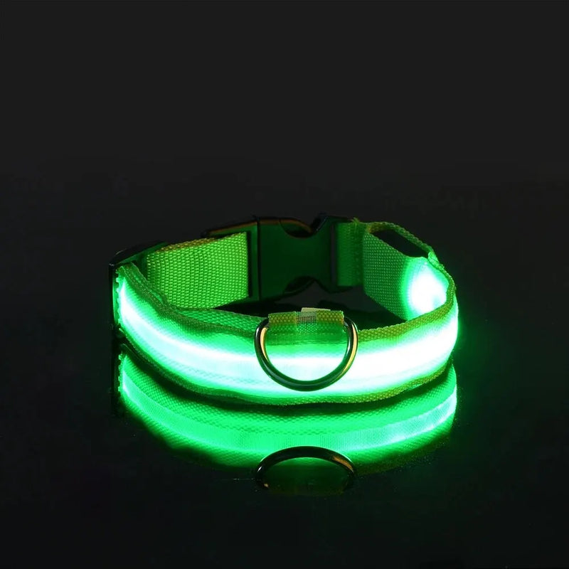 GlowSafe - Nylon LED Night Safety Flashing Dog Leash & Collar Set.