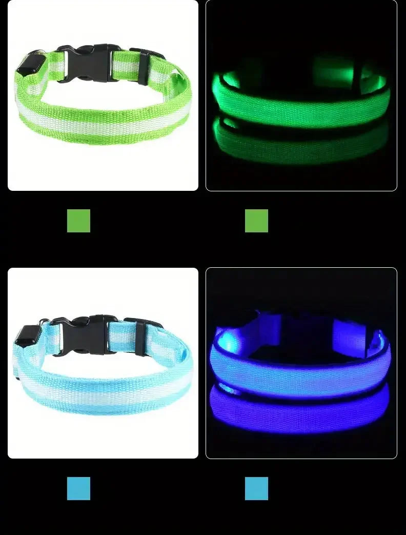 GlowSafe - Nylon LED Night Safety Flashing Dog Leash & Collar Set.