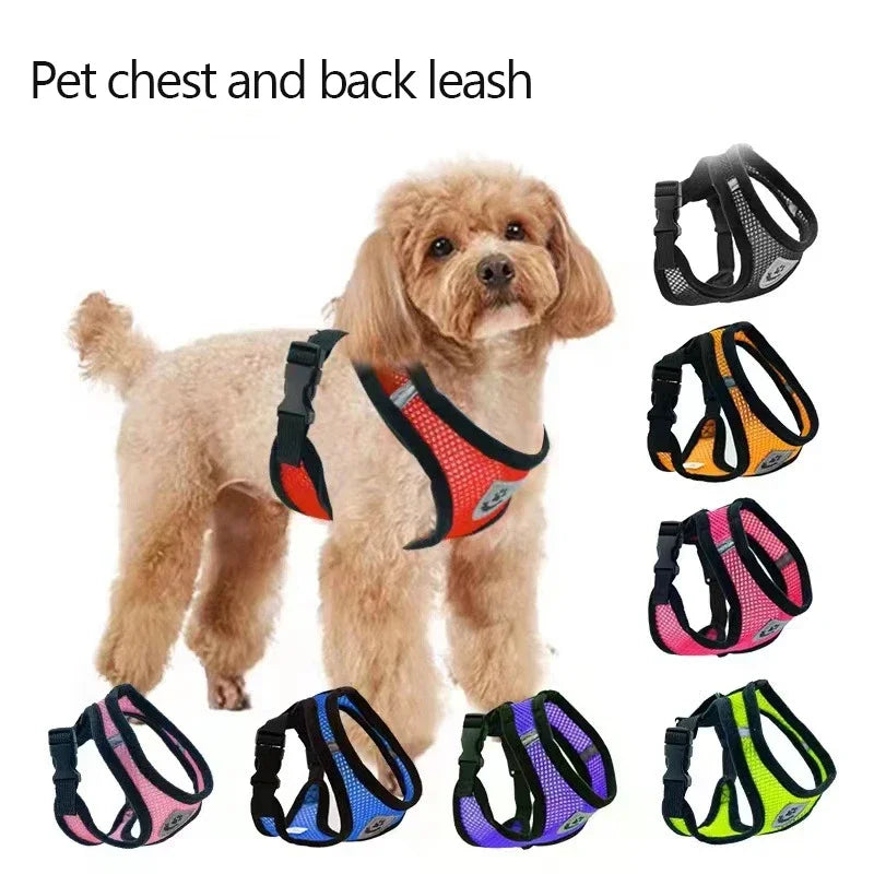 Cat Harness Vest and Leash Set