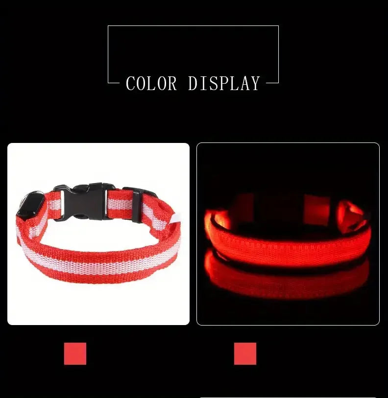 GlowSafe - Nylon LED Night Safety Flashing Dog Leash & Collar Set.