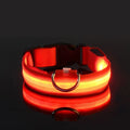 GlowSafe - Nylon LED Night Safety Flashing Dog Leash & Collar Set.