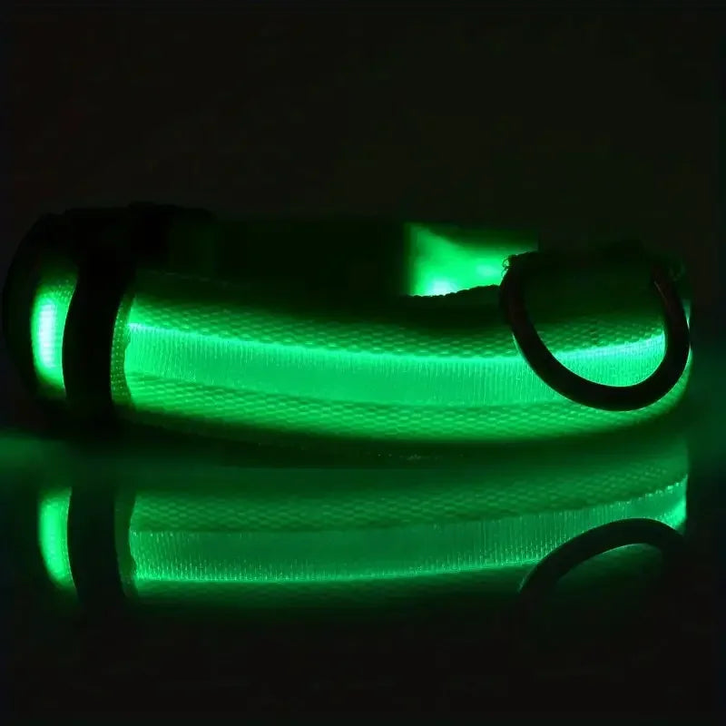 GlowSafe - Nylon LED Night Safety Flashing Dog Leash & Collar Set.