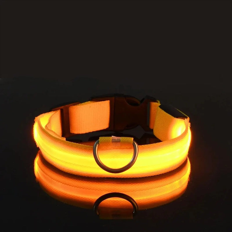 GlowSafe - Nylon LED Night Safety Flashing Dog Leash & Collar Set.