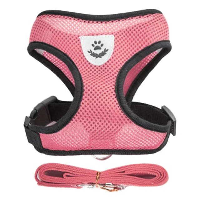 PawsFit - Adjustable Mesh Cat & Dog Harness with Lead