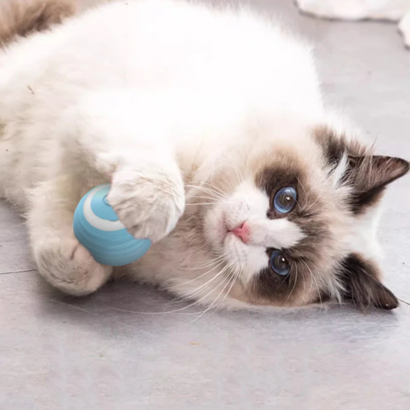 PurrRoll - Interactive Self-Moving Electric Cat Ball Toy